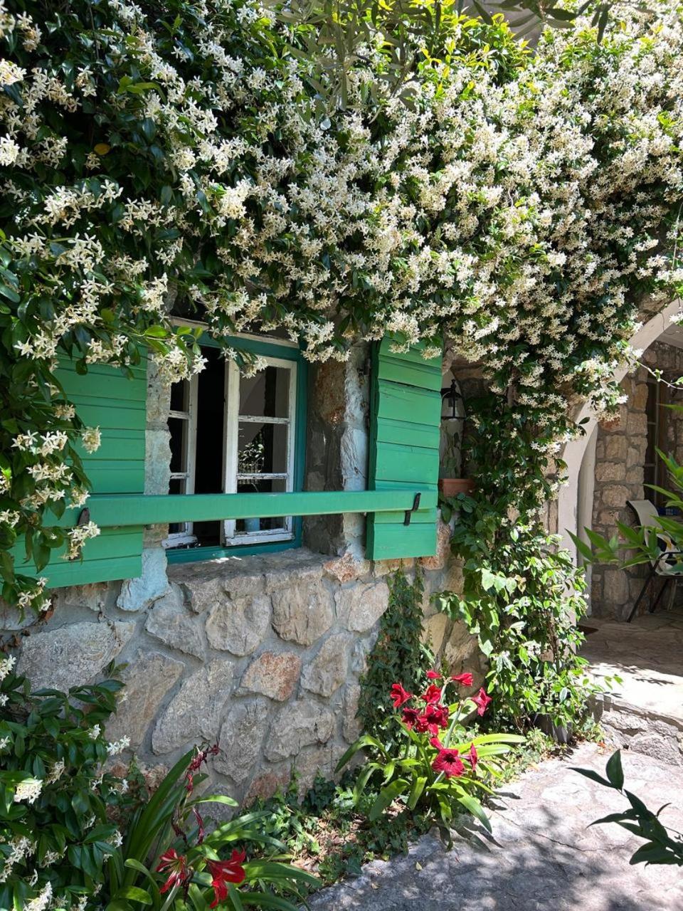 Lake House Puro Dodosi Exterior photo